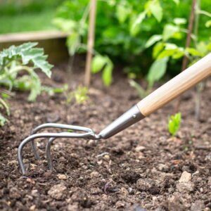 AMES - 3 Prong Cultivator - Stainless Steel - Image 2