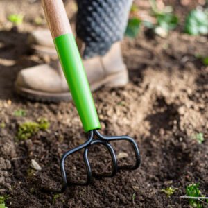 AMES - 4 Prong Cultivator - Carbon Steel - Image 5