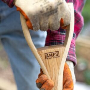 AMES - Border Fork - Stainless Steel - Image 4