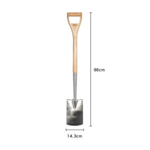 AMES - Border Spade - Stainless Steel - Image 6
