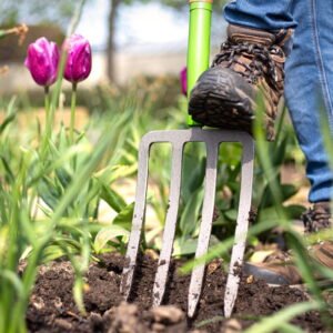 AMES - Digging Fork - Carbon Steel - Image 4