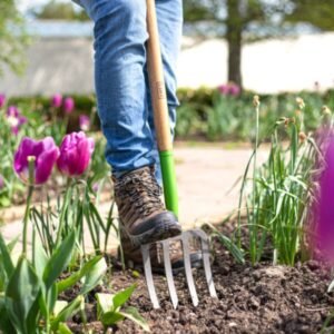AMES - Digging Fork - Carbon Steel - Image 2