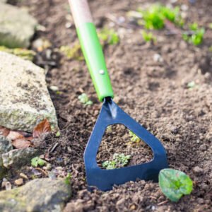 AMES - Dutch Hoe - Carbon Steel - Image 2