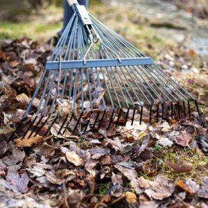 AMES - Flat Tine Leaf Rake - Carbon Steel - Image 4