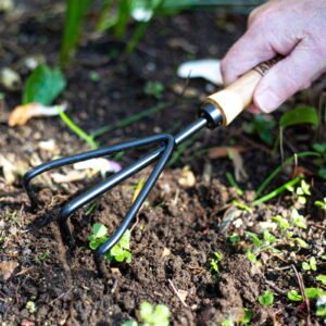 AMES - Hand 3 Prong Cultivator - Carbon Steel - Image 5