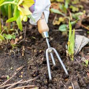 AMES - Hand 3 Prong Cultivator - Stainless Steel - Image 3