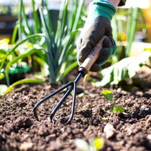 AMES - Hand 3 Prong Cultivator - Carbon Steel - Image 2