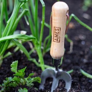 AMES - Hand Fork - Stainless Steel - Image 2