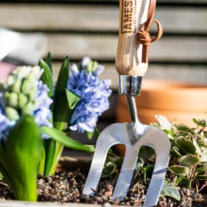 AMES - Hand Fork - Stainless Steel - Image 4
