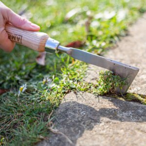 AMES - Hand Patio Weeder - Stainless Steel - Image 2