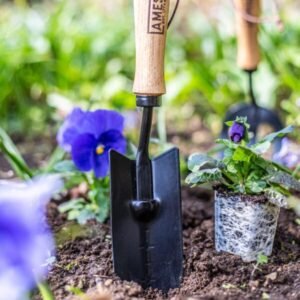 AMES - Hand Transplanter - Carbon Steel - Image 4