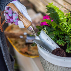 AMES - Hand Transplanter - Stainless Steel - Image 2