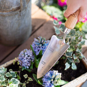AMES - Hand Transplanter - Stainless Steel - Image 4