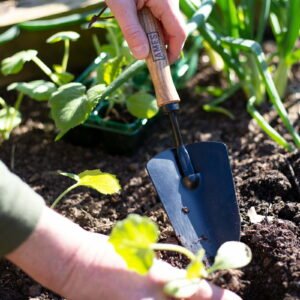 AMES - Hand Trowel - Carbon Steel - Image 4