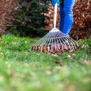 AMES - Lawn & Leaf Rake - Stainless Steel - Image 2