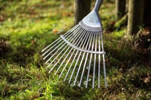 AMES - Lawn & Leaf Rake - Stainless Steel - Image 3