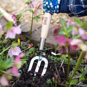 AMES - Midi Hand Fork - Stainless Steel - Image 3