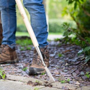 AMES - Patio Weeder - Stainless Steel - Image 3