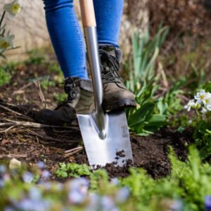 AMES - Planting Spade - Stainless Steel - Image 3