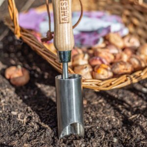 AMES - Small Hand Bulb Planter - Stainless Steel - Image 3