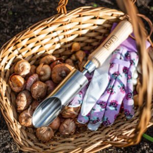 AMES - Small Hand Bulb Planter - Stainless Steel - Image 2