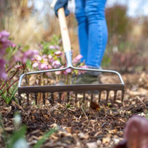 AMES - Soil Rake - Stainless Steel - Image 3