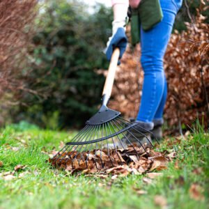 AMES - Wire Leaf Rake - Carbon Steel - Image 4