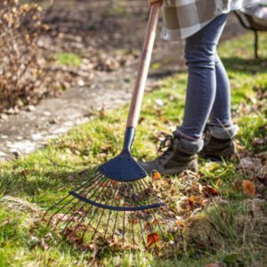AMES - Wire Leaf Rake - Carbon Steel - Image 2