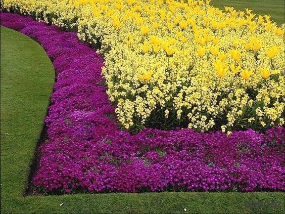 BORDERS & BEDS