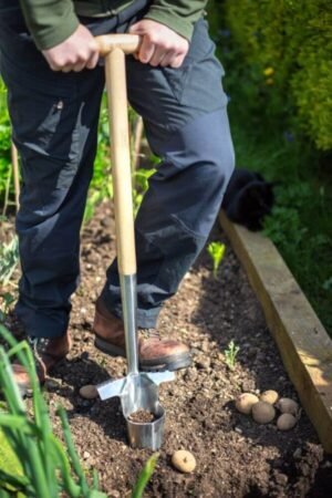 AMES Bulb Planter - Stainless Steel - Image 2