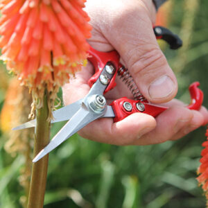 DARLAC - Ergo Snips - Image 2