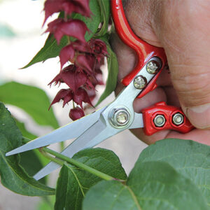 DARLAC - Ergo Snips - Image 3