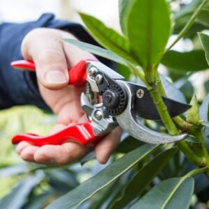 DARLAC - Professional Left Hand Pruner - Image 2