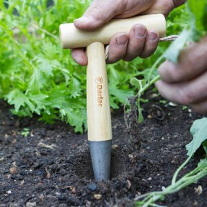 DARLAC - Bamboo Dibber - Image 2