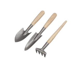 DARLAC - Bamboo Mini Essentials