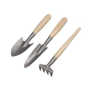 DARLAC - Bamboo Mini Essentials