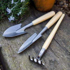 DARLAC - Bamboo Mini Essentials - Image 2