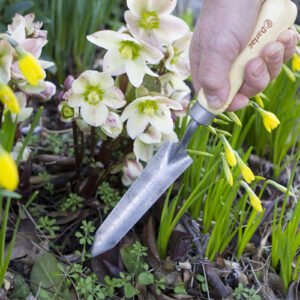 DARLAC - Bamboo Rockery Trowel - Image 2