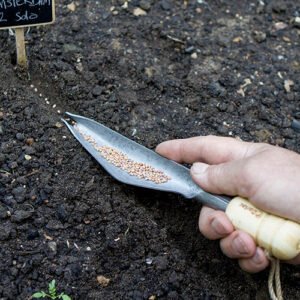 DARLAC - Bamboo Weeding & Seeding Trowel - Image 2