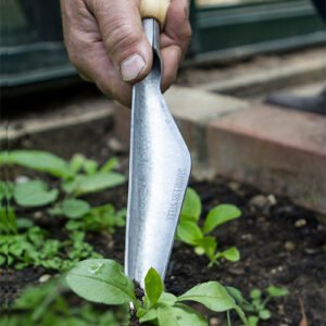 DARLAC - Bamboo Weeding & Seeding Trowel - Image 3