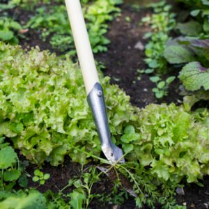 DARLAC - Bamboo Weeding Spear Hoe - Long Handle - Image 2