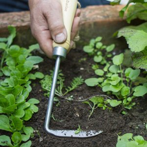 DARLAC - Cape Cod Weeder - Image 2