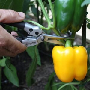DARLAC - Compact Snips - Image 3