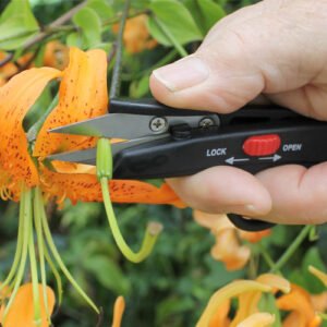 DARLAC - Deadheading Snips - Image 2