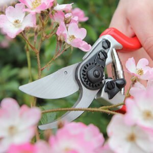 DARALC - Expert Bypass Pruner - Image 2