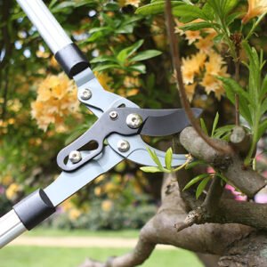 DARLAC - Heavy Duty Compound Bypass Lopper - Image 2