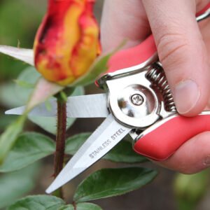 DARLAC - Mini Snips - Image 2