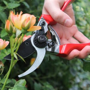 DARLAC - Professional Pruner - Image 2