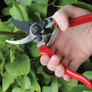 DARLAC - Professional Pruner - Image 3