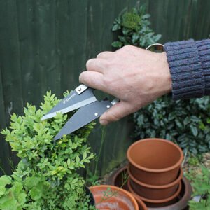DARLAC - Stainless Steel Topiary Shear - Image 2